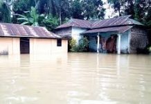 কমলগঞ্জে বন্যা পরিস্থিতি স্বাভাবিক, পুনর্বাসনে সরকারি সহায়তা অব্যাহত