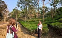 শ্রীমঙ্গলে পরিবেশবান্ধব পর্যটন বিকাশে নতুন উদ্যোগ, স্থানীয়দের কর্মসংস্থানের সুযোগ