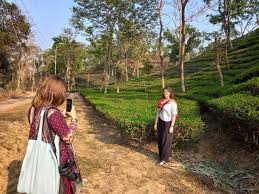 শ্রীমঙ্গলে পরিবেশবান্ধব পর্যটন বিকাশে নতুন উদ্যোগ, স্থানীয়দের কর্মসংস্থানের সুযোগ